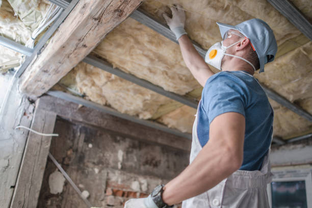 Best Eco-Friendly Insulation in Crestwood Village, NJ
